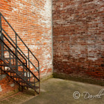 Painted Alley Painted Alley