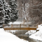 Bridge/Park Bridge/Park