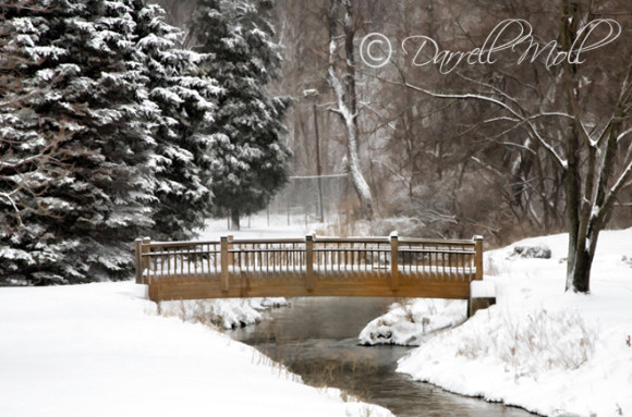 Bridge/Park Bridge/Park