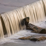 Monroeville DAM Monroeville DAM