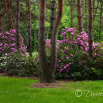 Lorain County Metroparks