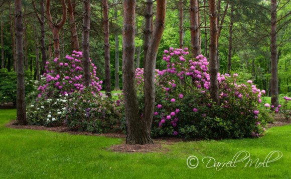 Lorain County Metroparks