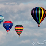 Findlay Balloon Fest