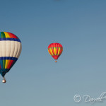 Findlay Balloon Fest
