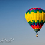 Findlay Balloon Fest