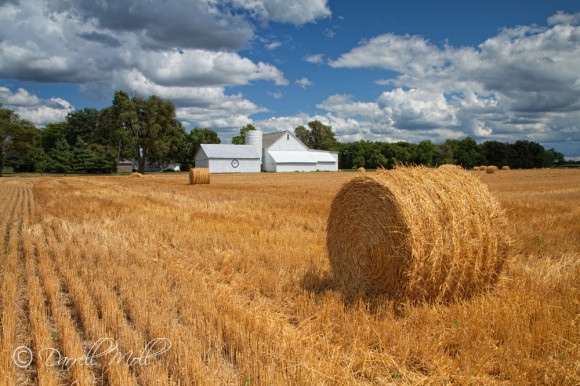 Hay Stack