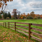 Fence in Fall