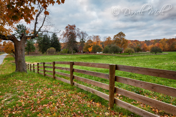 Fence in Fall