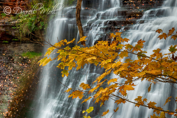 Brandywine Falls