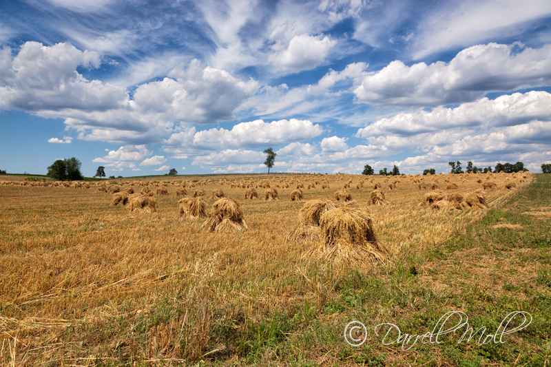 Hay Stack