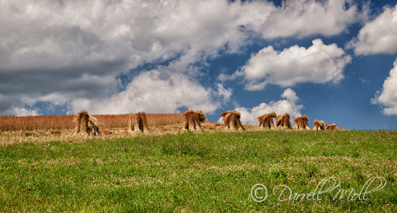 Hay Stack