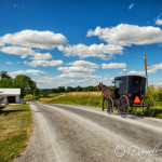 Horse & Buggy