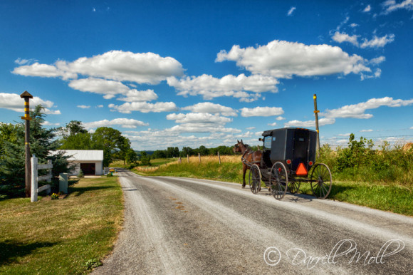Horse & Buggy
