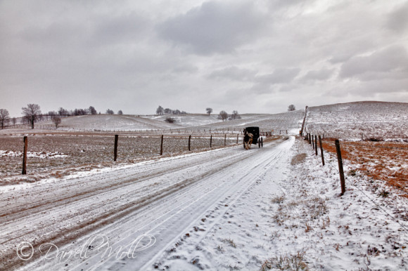 Snowy Road