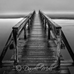 A Bridge to Remember