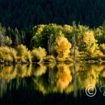 Early Fall Color Ox Bow Bend