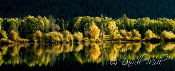 Early Fall Color Ox Bow Bend
