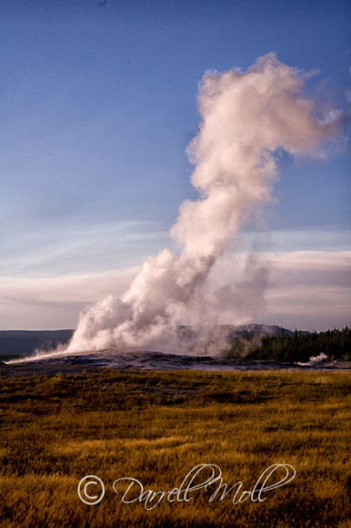 Old Faithful