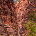 Zion National Park