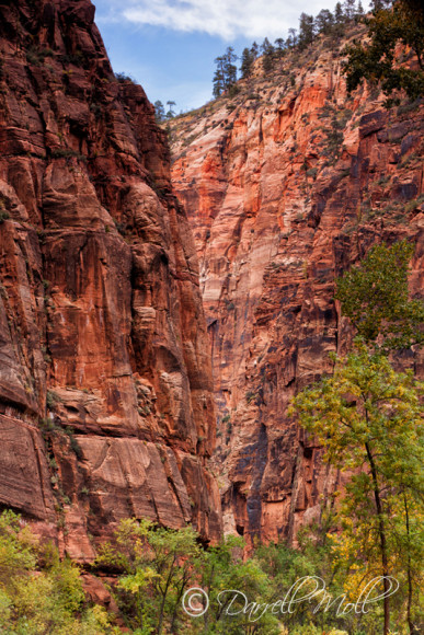 Zion National Park