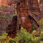 Zion National Park