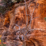 Zion National Park