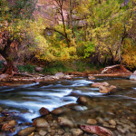 Zion National Park