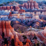 Bryce National Park