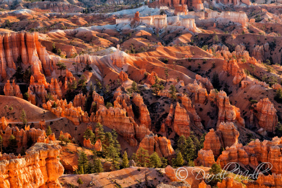 Bryce National Park