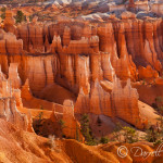 Bryce National Park