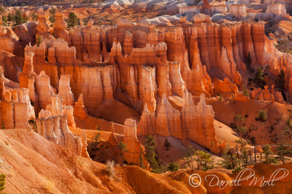 Bryce National Park