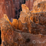 Bryce National Park