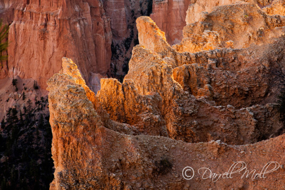 Bryce National Park