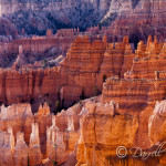 Bryce National Park