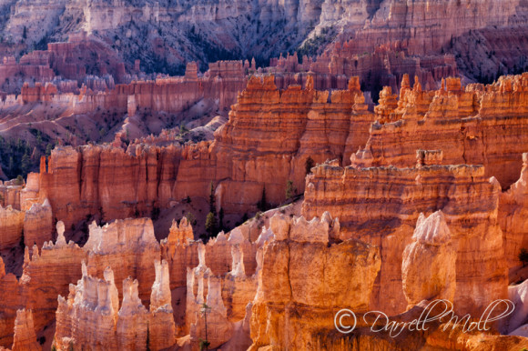 Bryce National Park