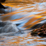 Fall in the Great Smokies