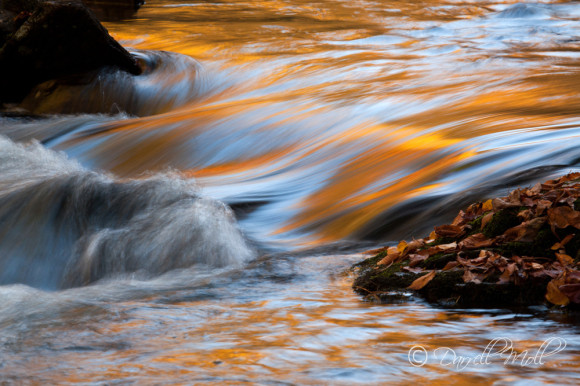 Fall in the Great Smokies