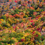 Fall in the Great Smokies