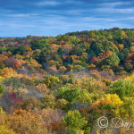 Fall Colors