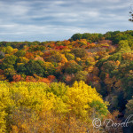 Fall Colors