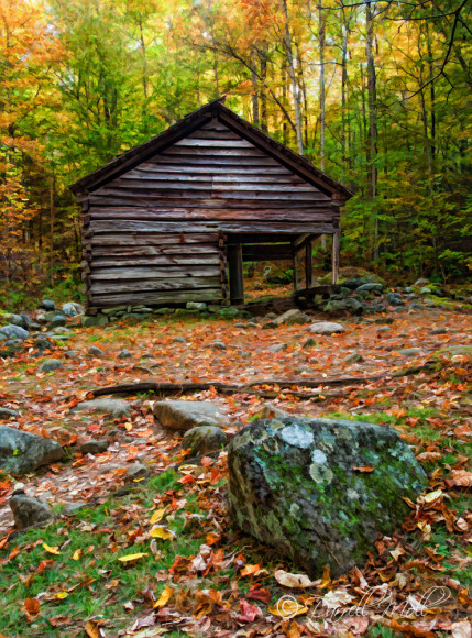 Fall in the Great Smokies