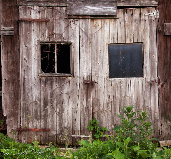 Old Barn Door