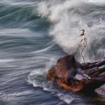 The Storm Before the Falls