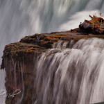 American Falls - From Goat Island
