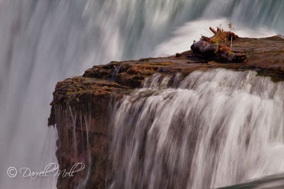 American Falls - From Goat Island