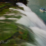 Maid of the Mist - From Goat Island