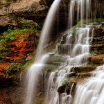 Brandywine Falls