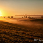 Sunrise, Fog & Trees