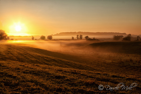 Sunrise, Fog & Trees